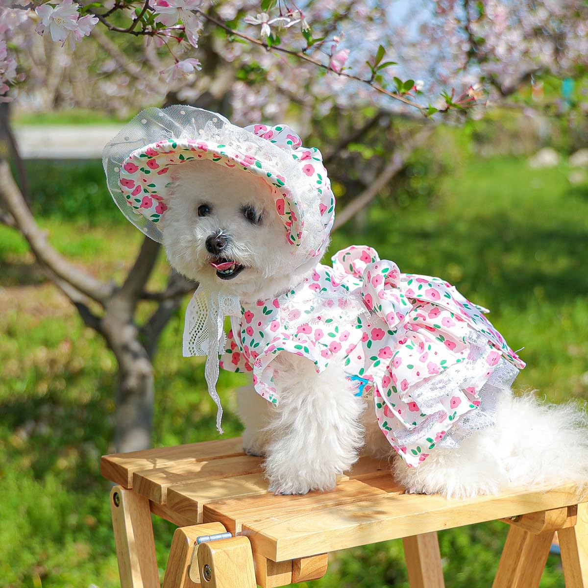 BT Bear Dog Hat,Flower Rural Lace up Pet Lady Dress Hat for Cats Girls Puppy Small Dogs,Pink Rose S - Image 3