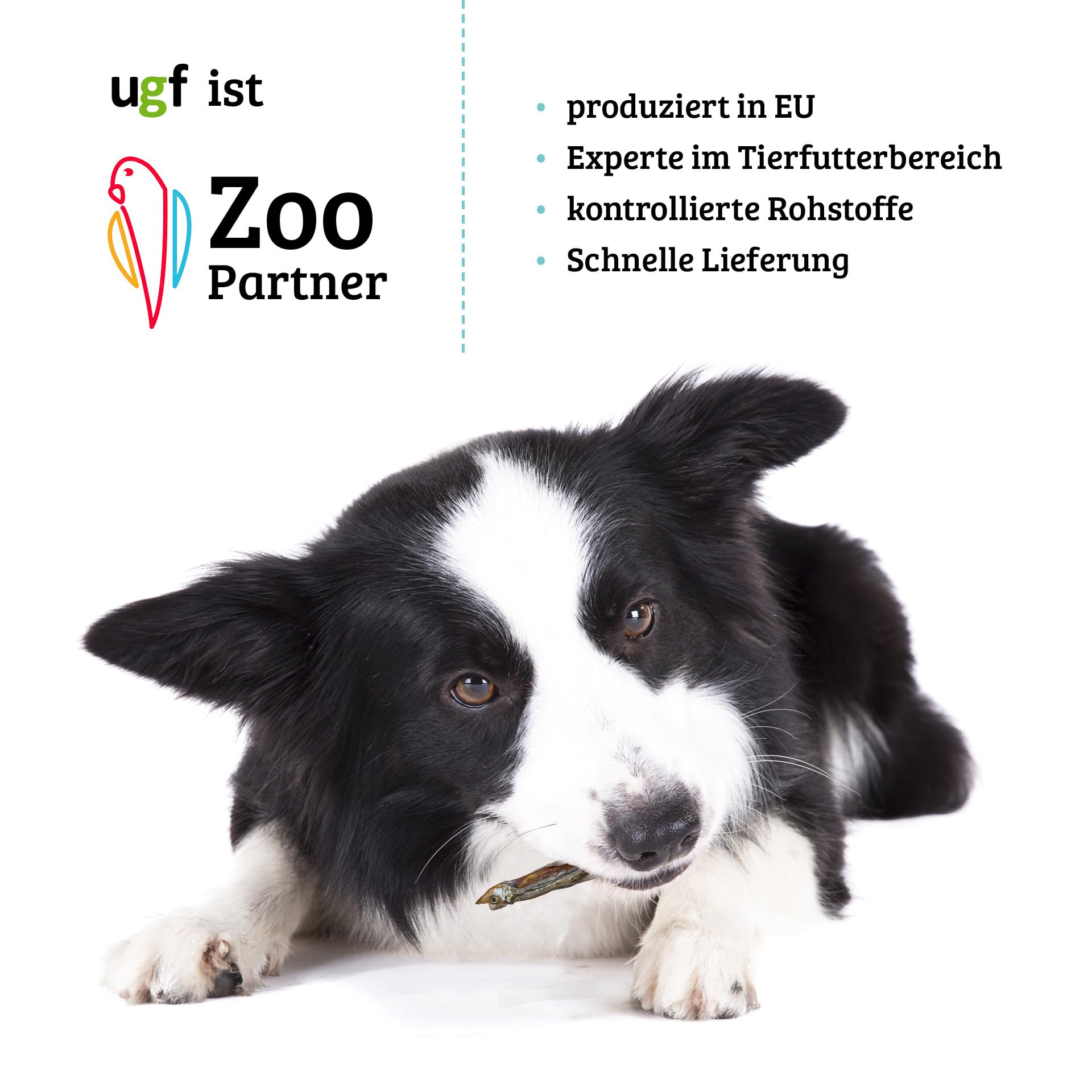 UGF - Poisson séché pour Chiens - 460 g en Seau de 3 litres, friandises pour Chiens, sans céréales, Poisson séché, hypoallergénique, diététique, friandises d'entraînement, à mâcher