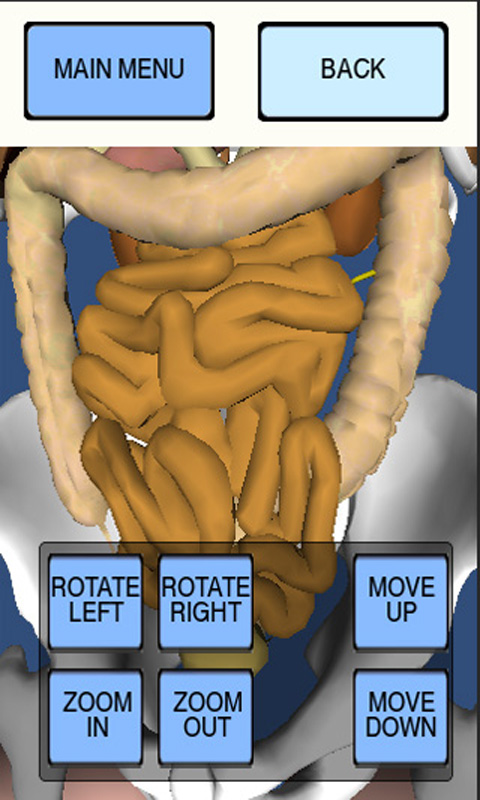 3D Digestion - App on Amazon Appstore