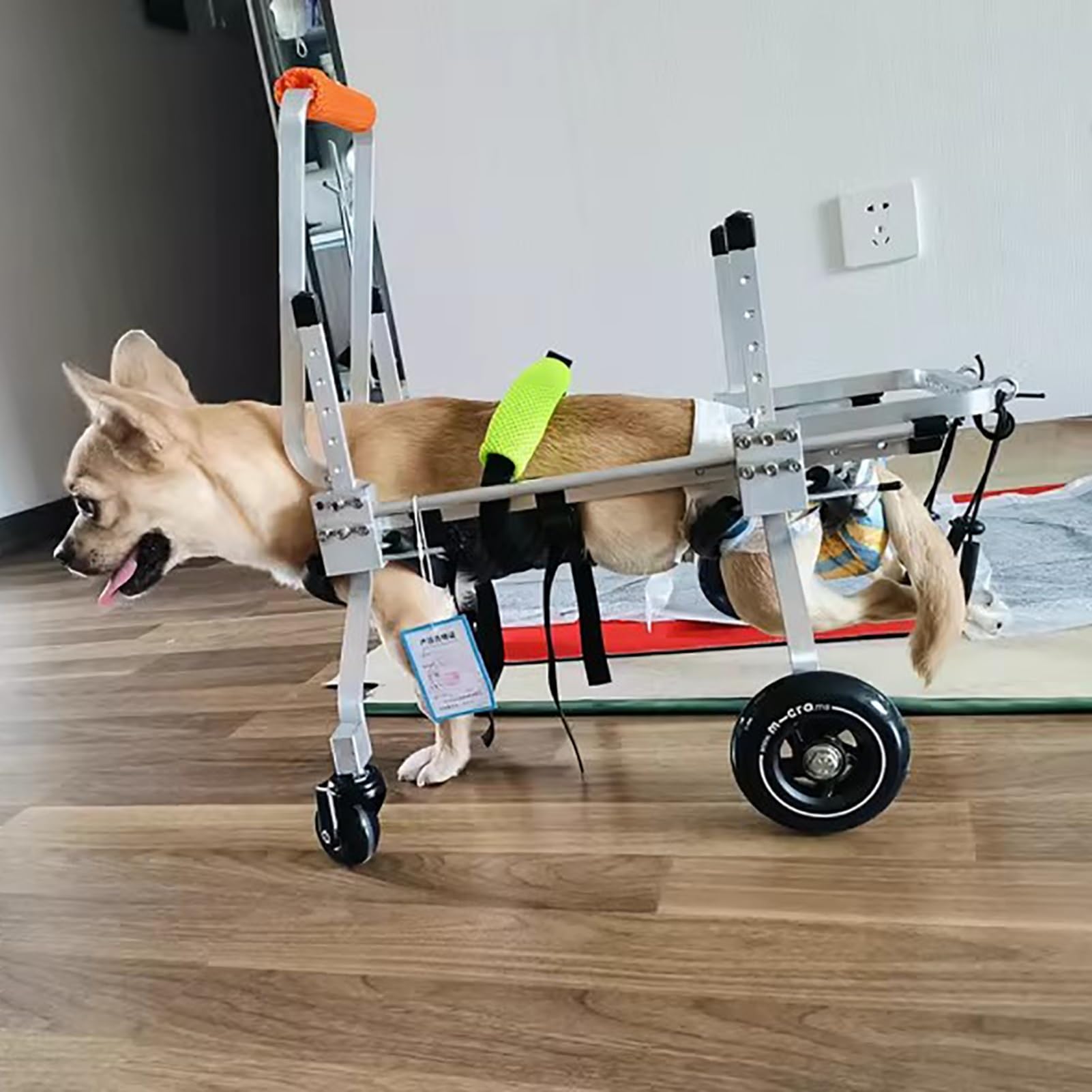 Fauteuil roulant pour chien pour retrouver le plaisir de la promenade