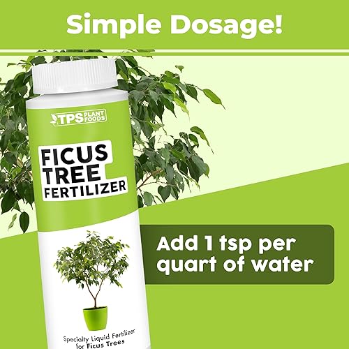 Miniatura 4 de Fertilizante de árbol de ficus para todas las plantas de ficus, higo y moraceae, alimento líquido para plantas, 8 oz (8.5 fl oz)