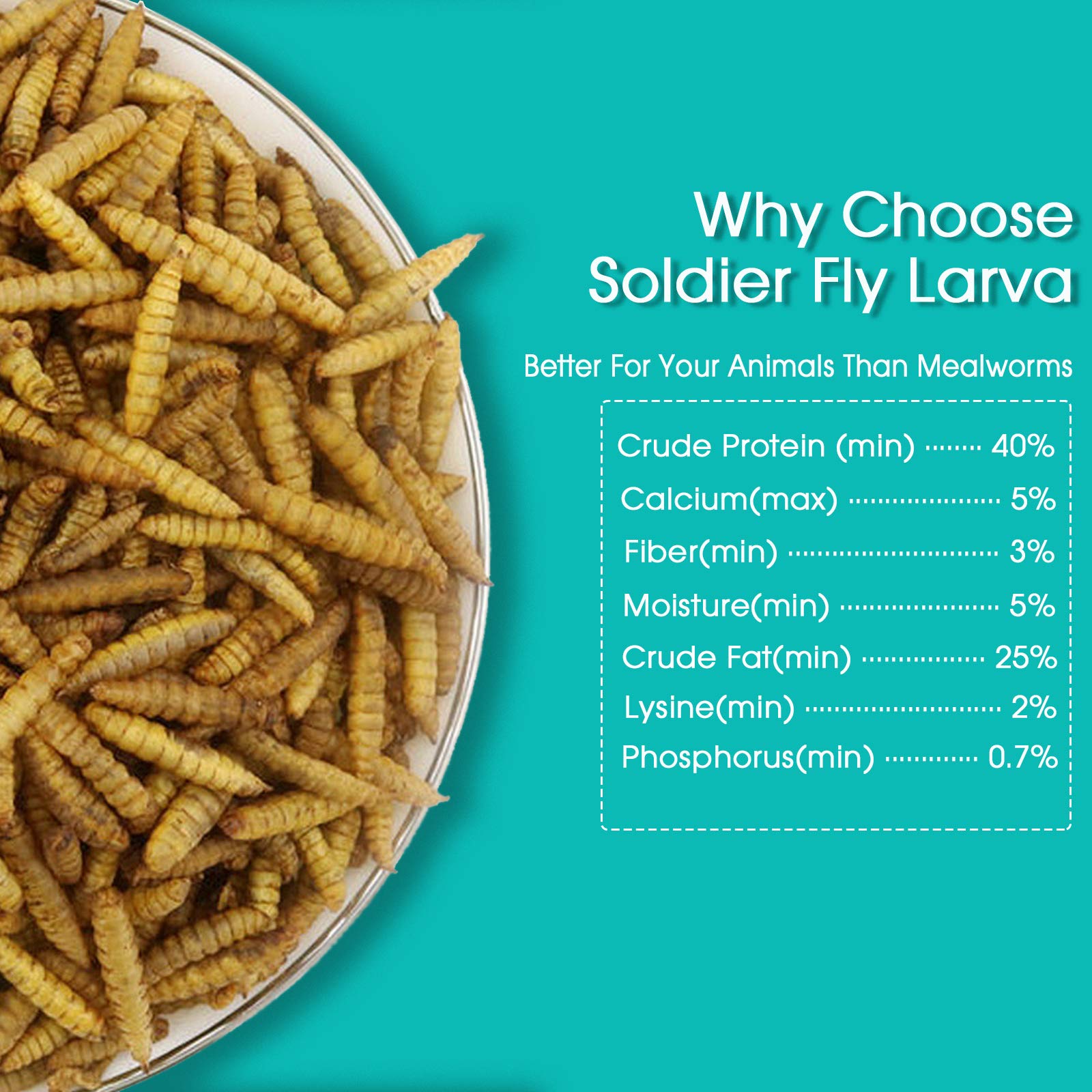 Dried Black Soldier Fly Larva/Dried Mealworms 100 Natural BSF Larvae High Calcium Treats