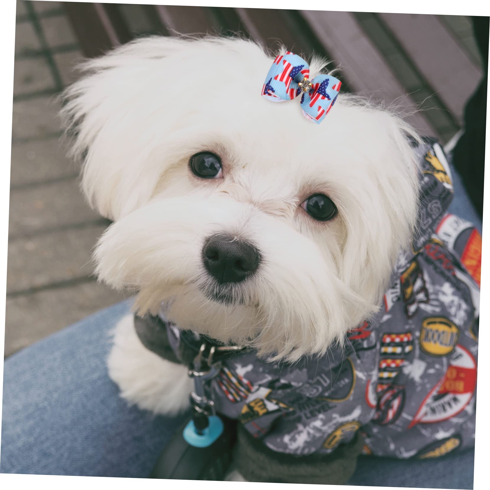 YARNOW 10Pcs Pet Hair Bows with Rubber Bands Bowknot Accessories for Dogs and Cats for Parties and Photography Comfortable and Stylish Grooming Ribbons