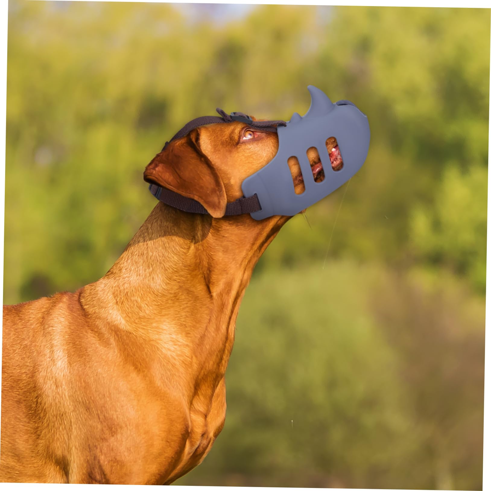TOYANDONA Museruola Morbida per Cani in Silicone, 3 Pezzi, Comoda Vestibilità, Riduce L’abbaio, per Cani Medi e Grandi, Uso Quotidiano