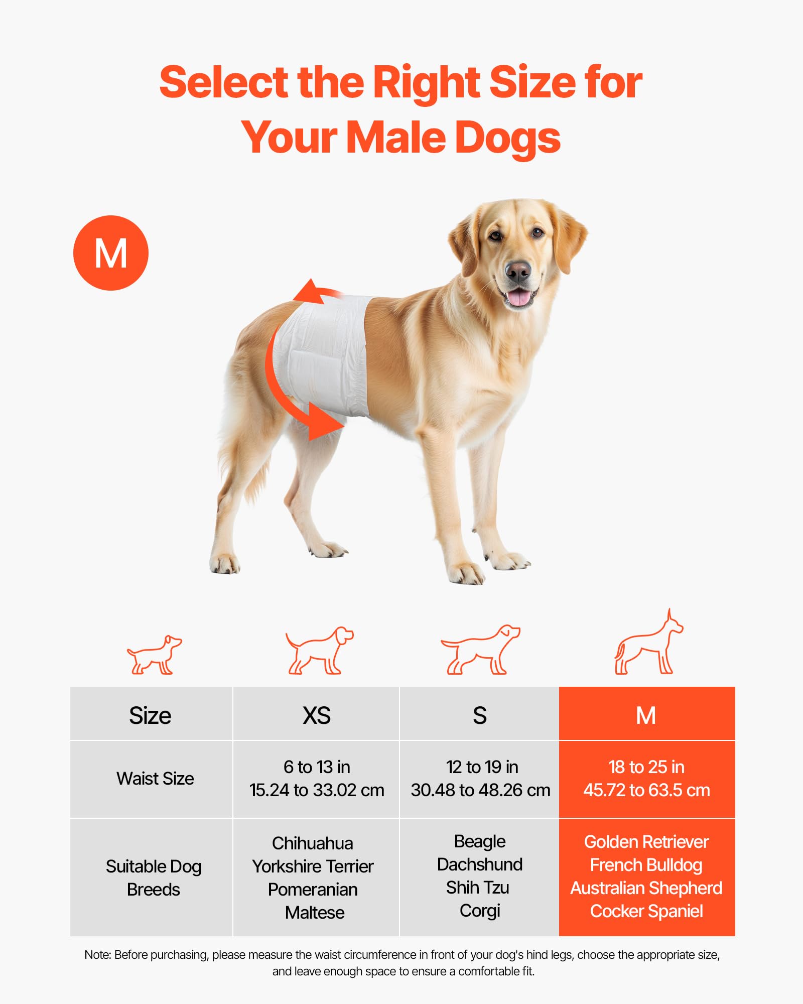 Image secondaire de Couches Jetables Super Absorbantes pour Chiens Mâles - 96 Pièces