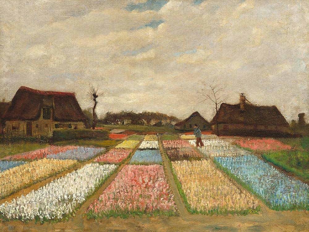Amazon.co.jp: Posterazzi Collection オランダの花壇 ポスター ファン