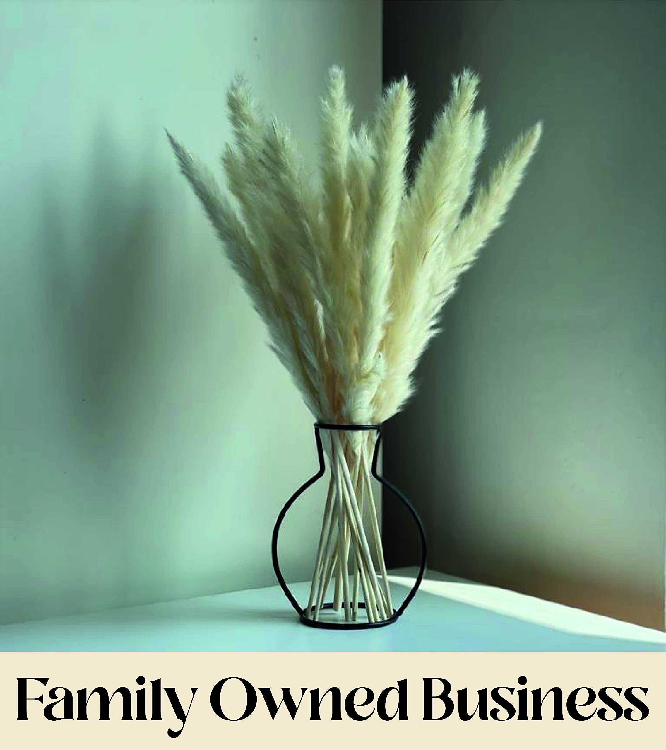 Antheia Interior Pampas Grass Decor 45pcs Golden White Pampas Grass