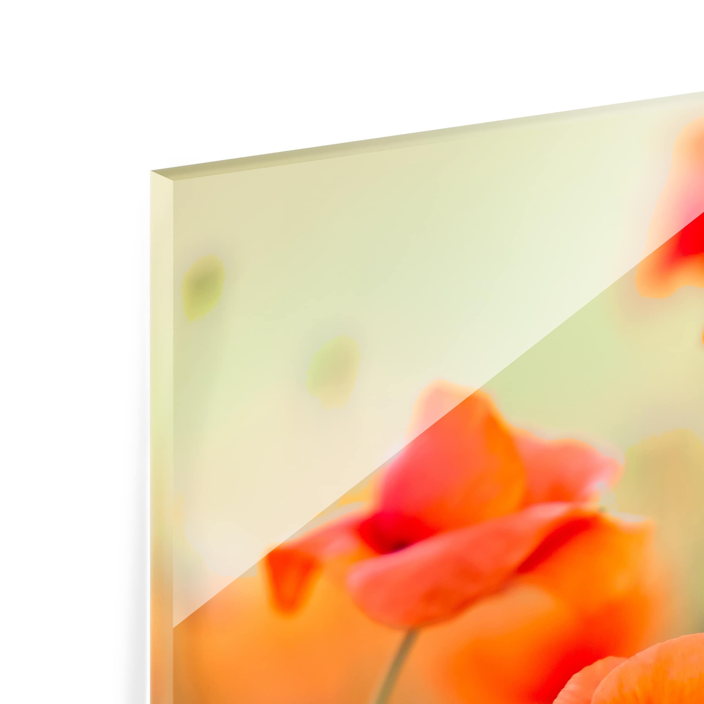 Fond de hotte avec support épaisseur 4mm fleurs crédence cuisine coquelicot verre trempé panneau mural vert crédence en verre motif cuisine 1973 (60x59cm)
