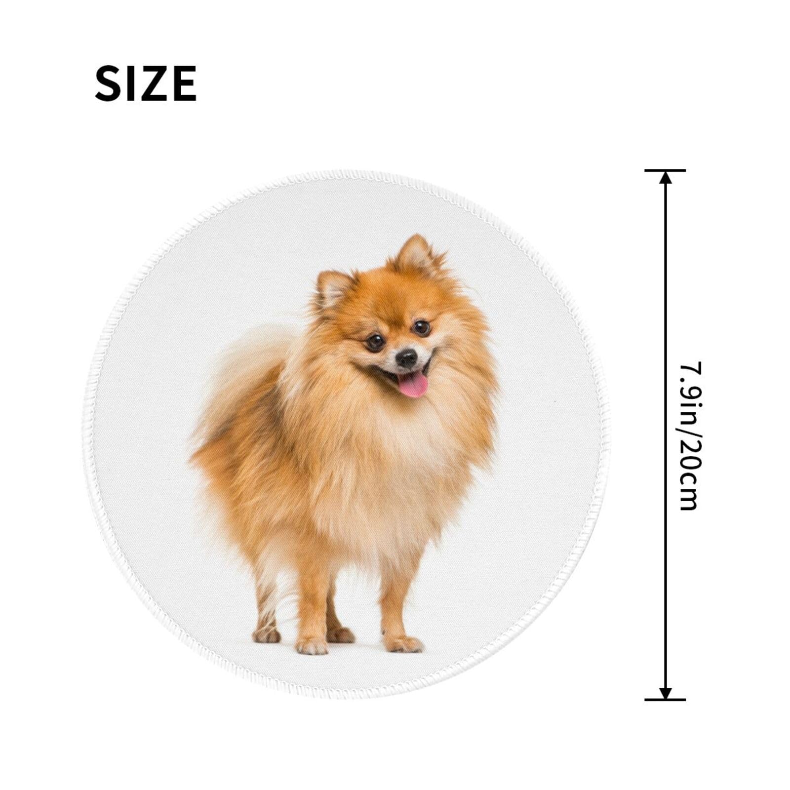 71is2YRkk+L.jpg