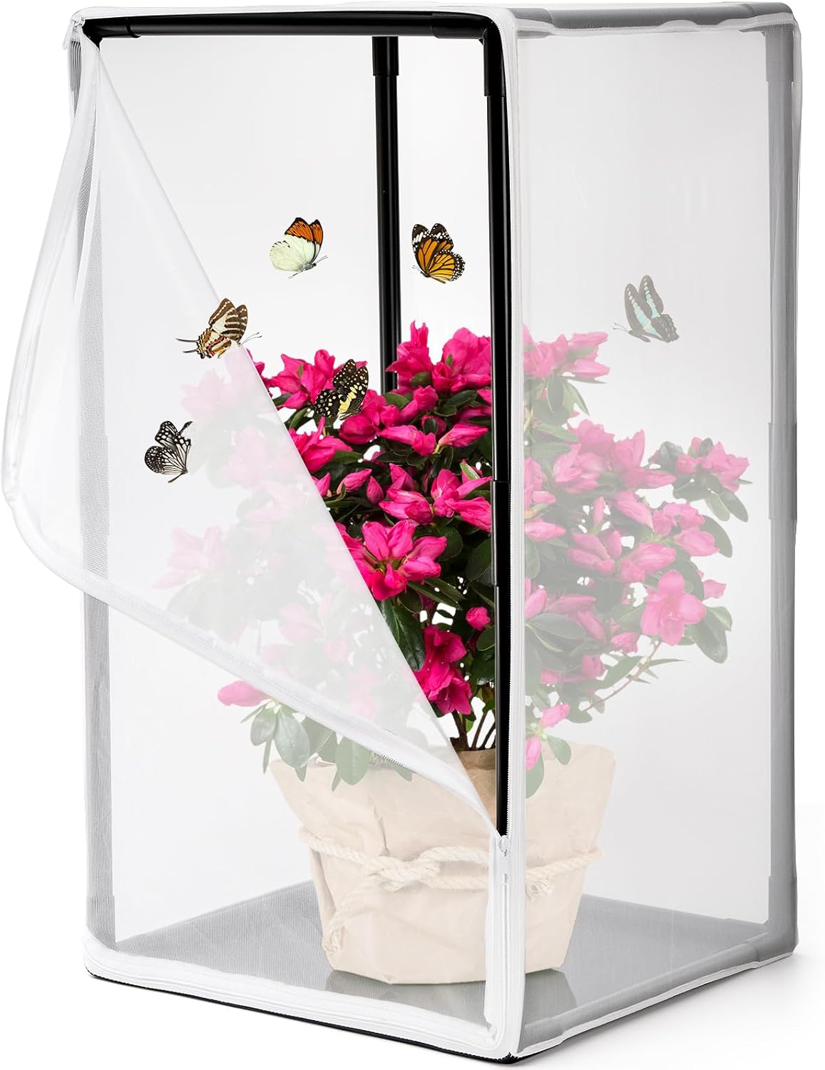 Kingrol Outdoor Insect & Butterfly Habitat Cage - Mesh Plant Enclosure for Pest/Bird Protection, Ideal for Breeding Butterflies, Soldier Flies, Ladybugs - 16.5 x 16.5 x 31 Inch
