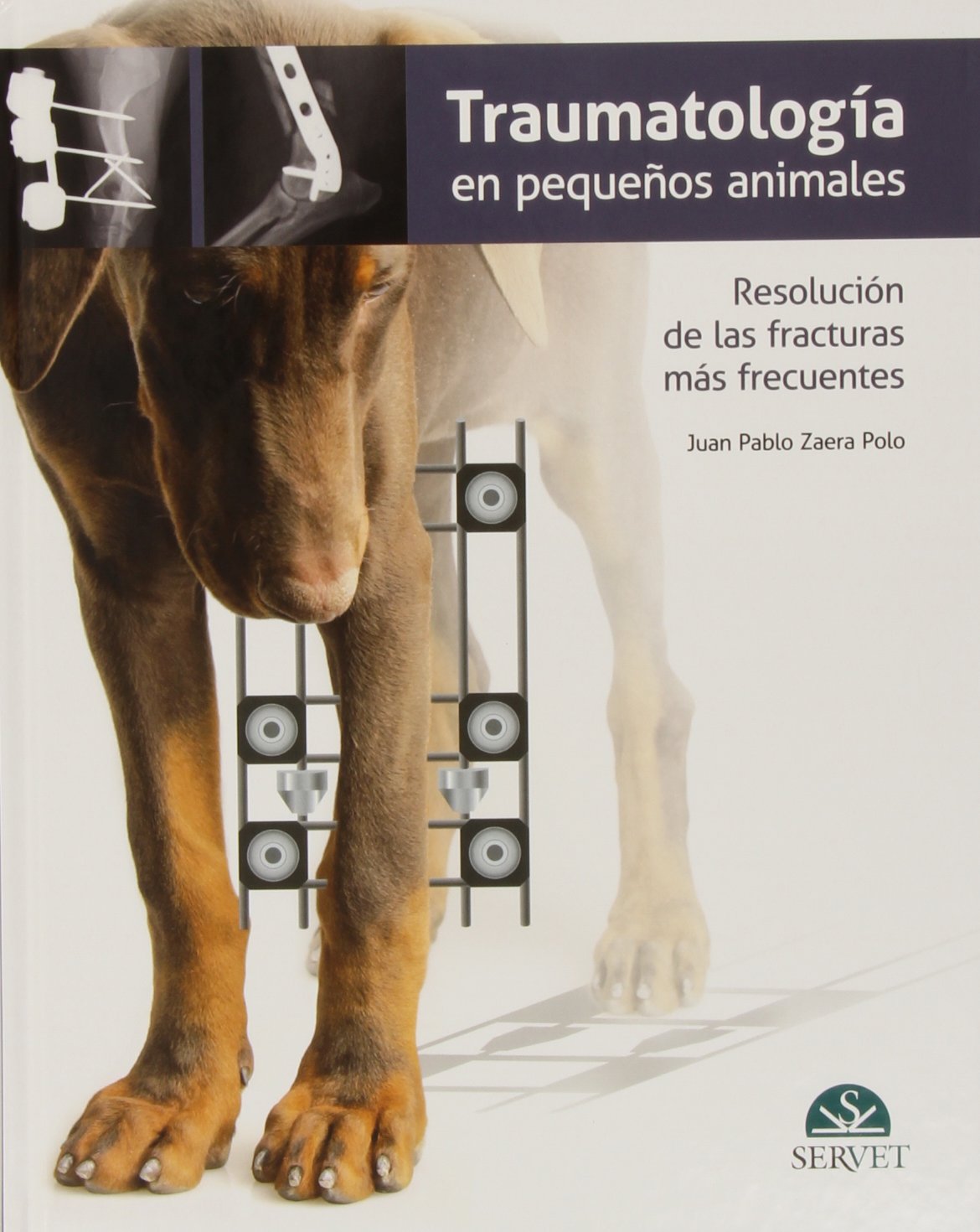 Buy Traumatología en pequeños animales — BookShops.in