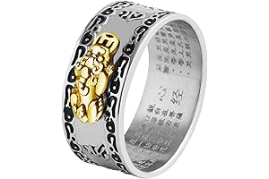 990 Silver Feng Shui Pi Xiu Mantra Ring for Wealth and Luck