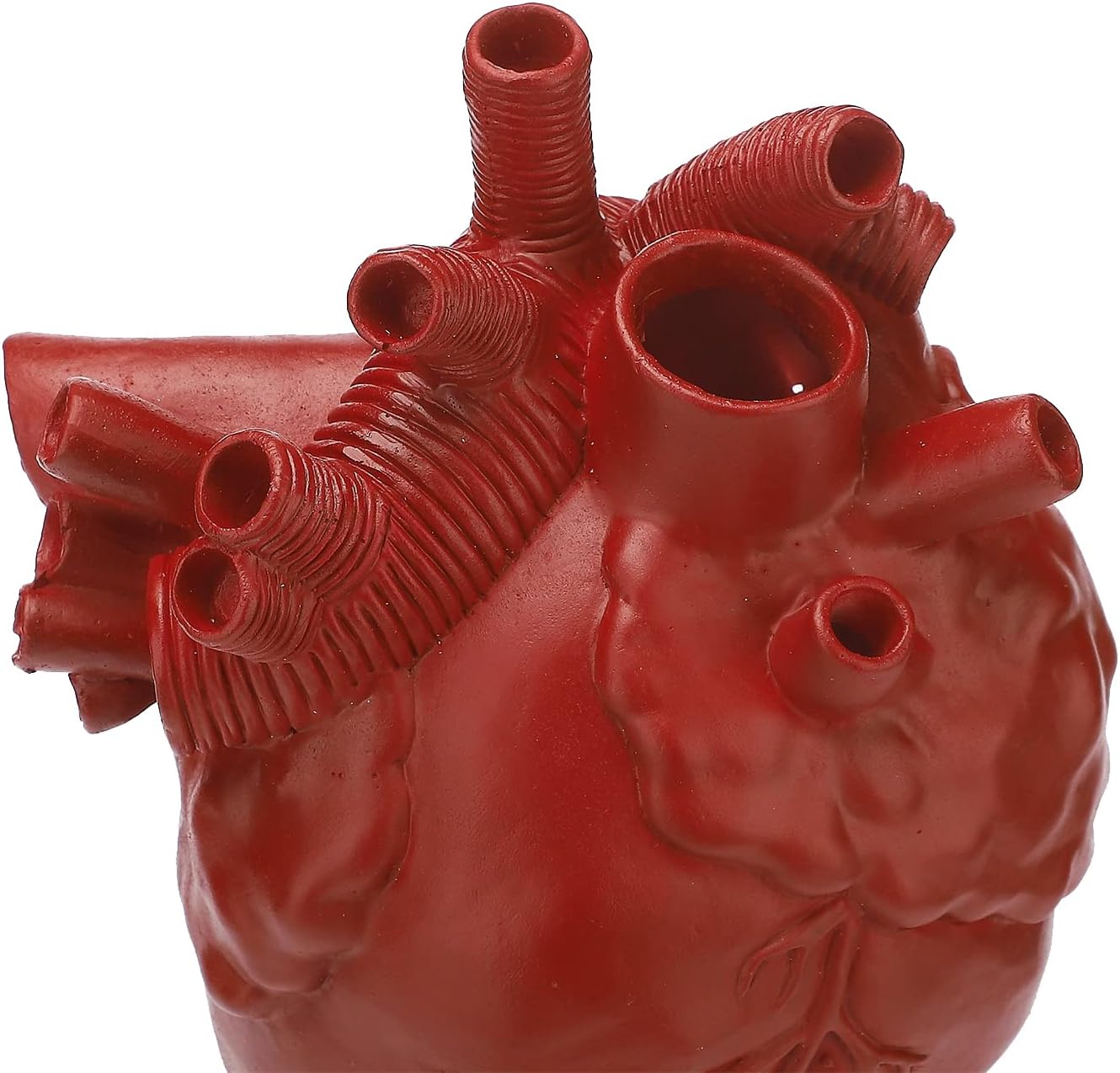 Anatomical Heart Vase for Flowers, Resin Heart Shape Vase for Table Centerpieces