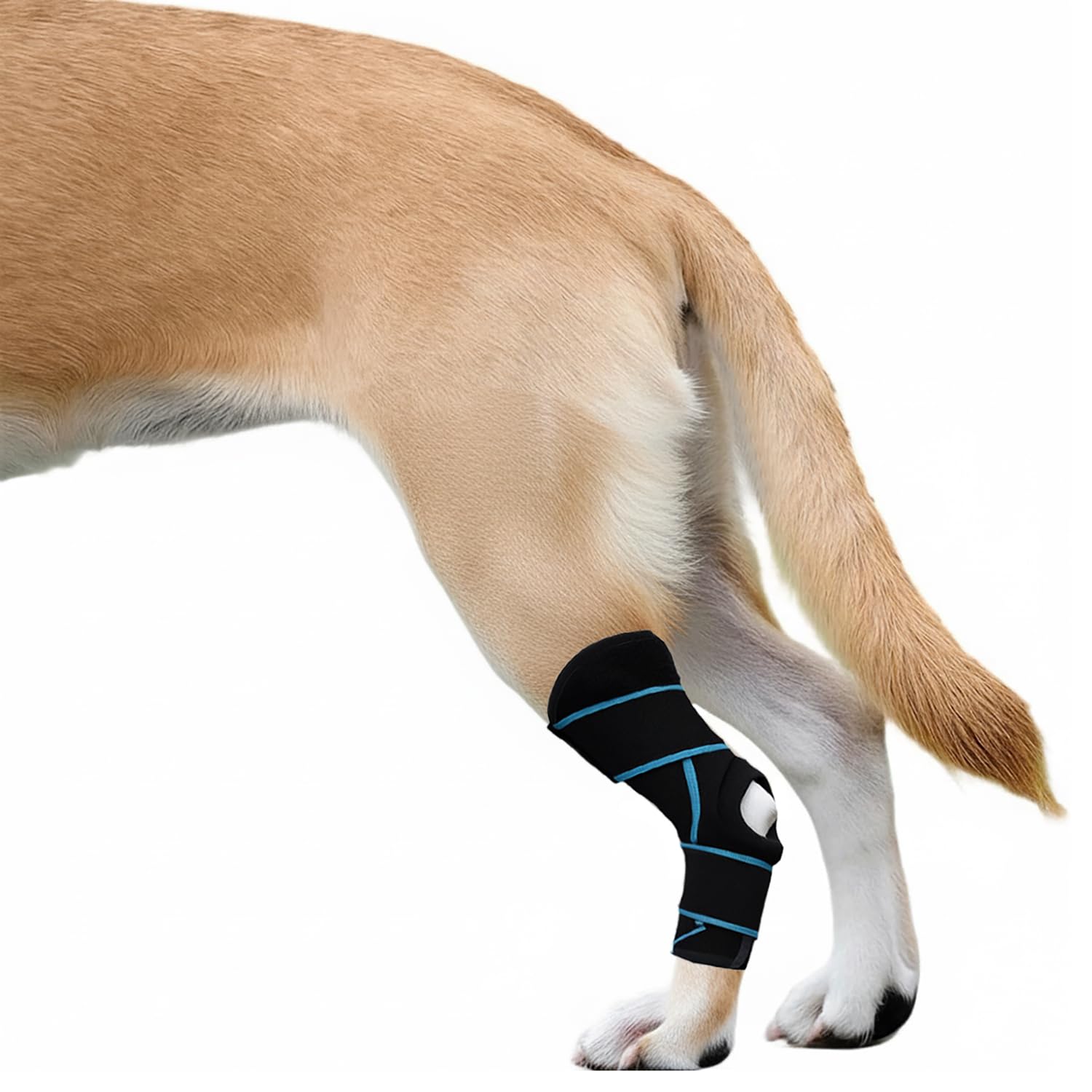 SHARKBEEPOWER Dog Knee Brace for Back Leg, ACL Support for Large Dogs, Adjustable Dog Leg Brace for Hind Leg Injuries, Canine Joint Wrap for Arthritis