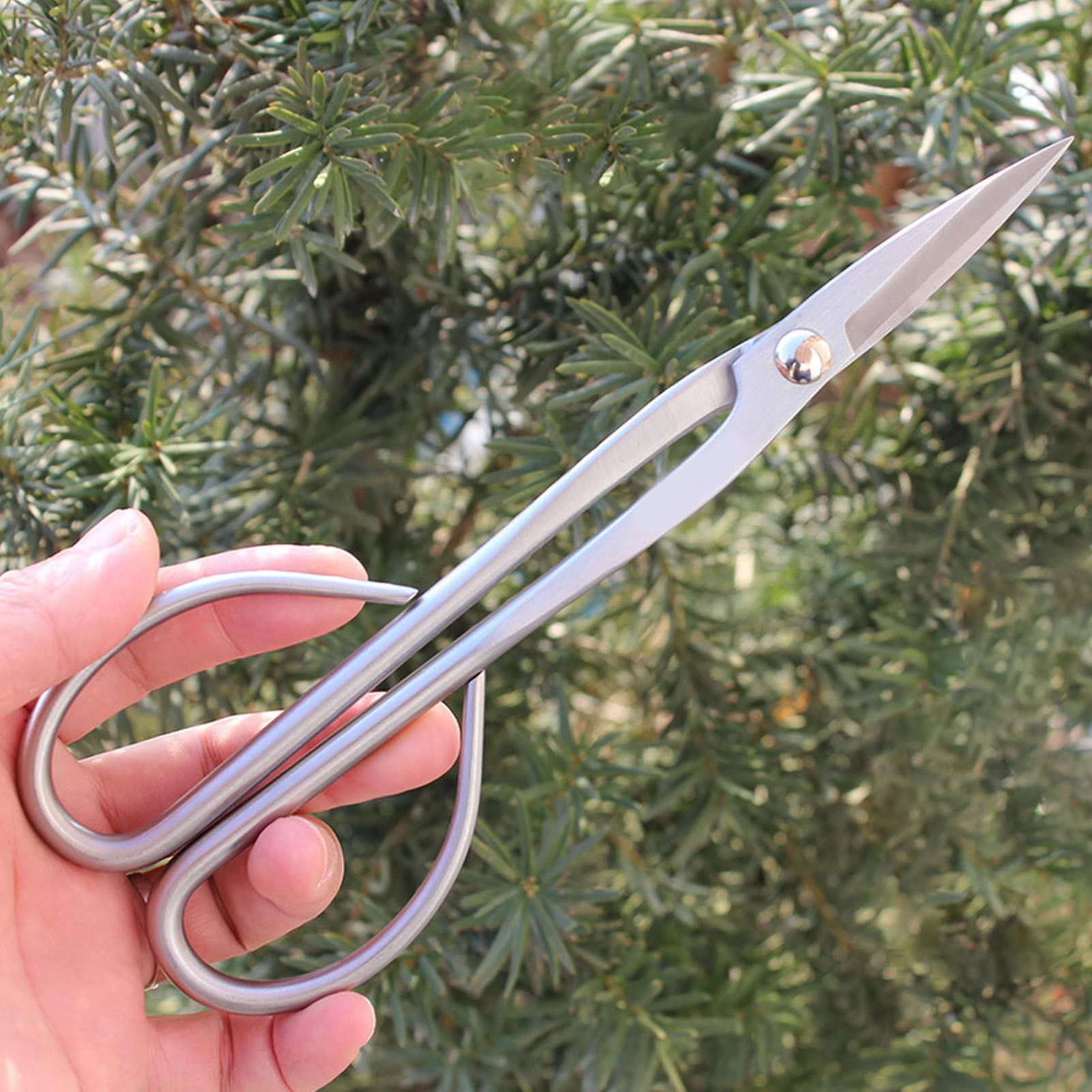 Forbici per Bonsai, Realizzate in Acciaio Inossidabile, ad Alta Durezza, Resistenti All'usura, Pregevole Fattura, Perfette per Rimuovere I Germogli Delle Foglie, 8,3 Pollici Adatte per Il Giardinaggio