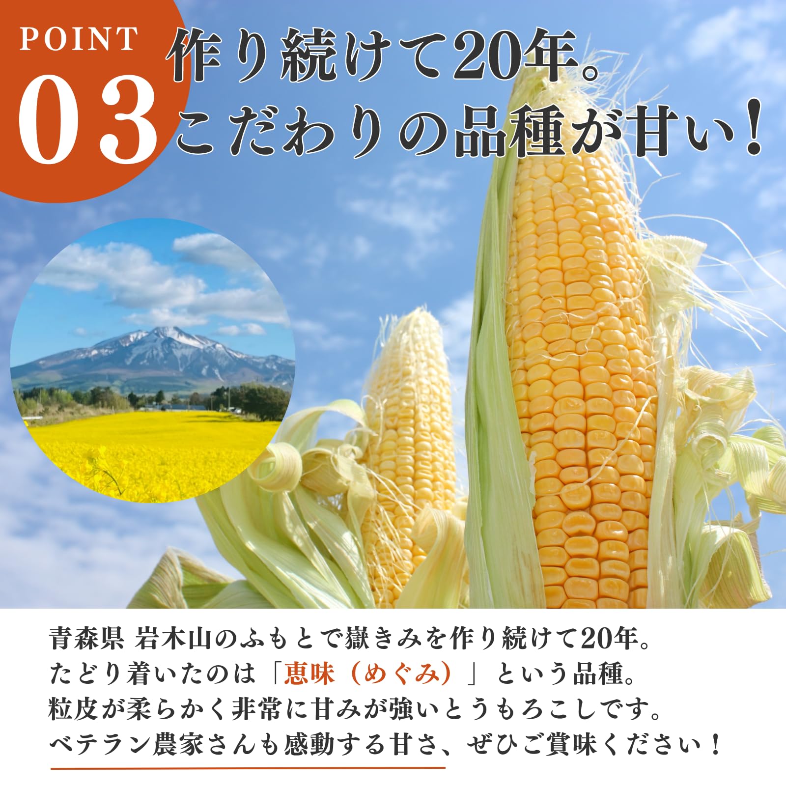 Amazon.co.jp: [8月末より順次発送・訳あり] とうもろこし 青森