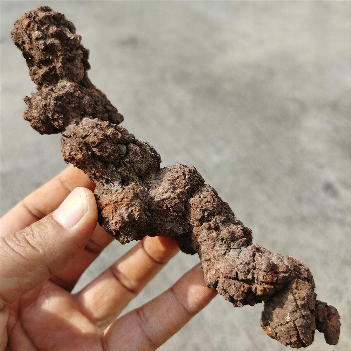 Amazon.com: 296 克稀有恐龍糞石Coprolite 石化糞便標本W1480 : 藝術