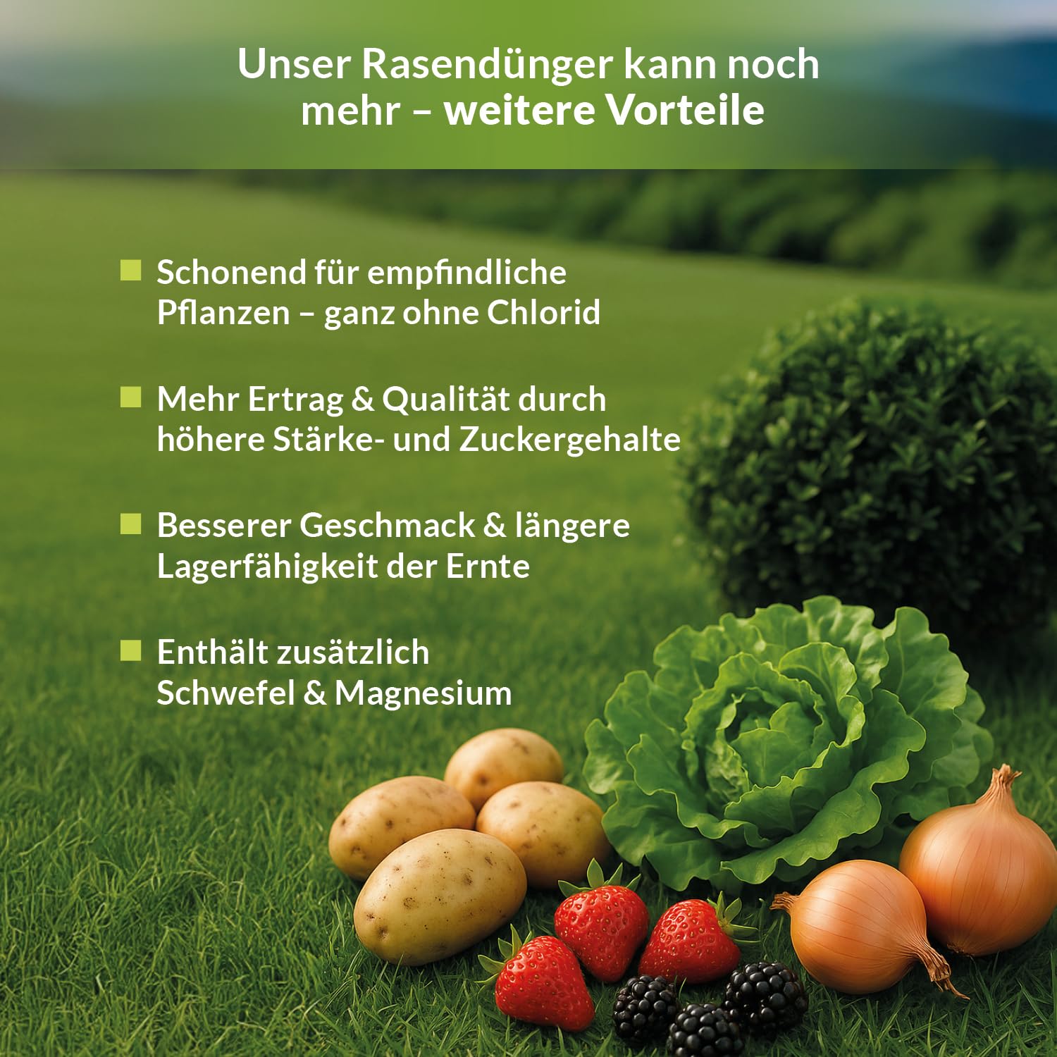 TerraDomi Rasendünger Herbst 25kg für 625m² | ohne Chlorid | Kalium Dünger für starke Wurzeln macht den Rasen winterfest | fördert Langzeitwirkung | streuwagengeeignet | Herbstdünger Rasen