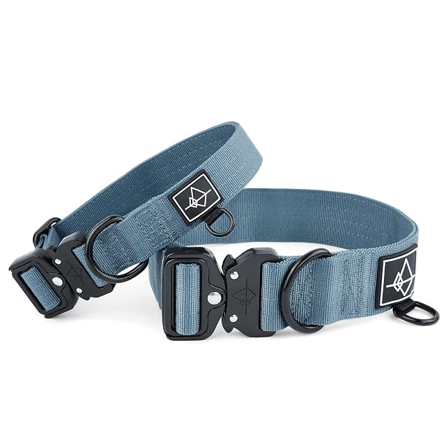 Foto 2 de 8 de Made to ROAM - Collar para perro de alta calidad, ajustable, de nailon resistente con hebilla metálica…