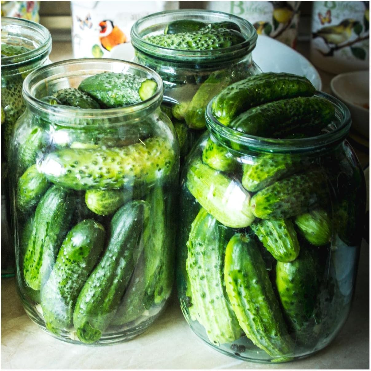 Everwilde Farms - 1 Lb Boston Pickling Cucumber Seeds - Gold Vault