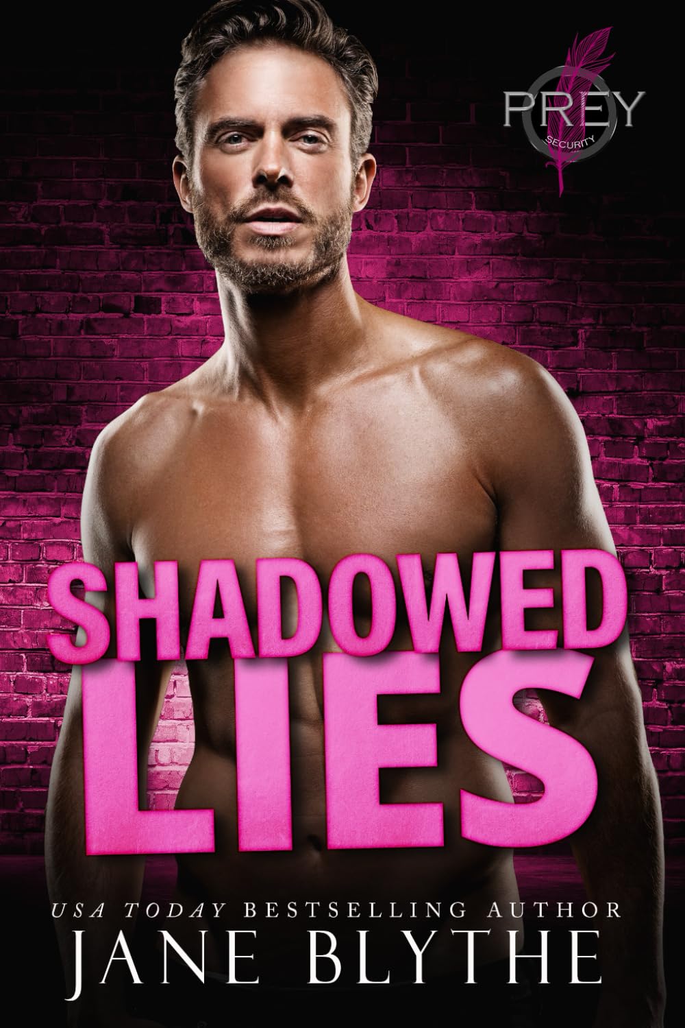 Shadowed Lies (Prey Security: Charlie Team)