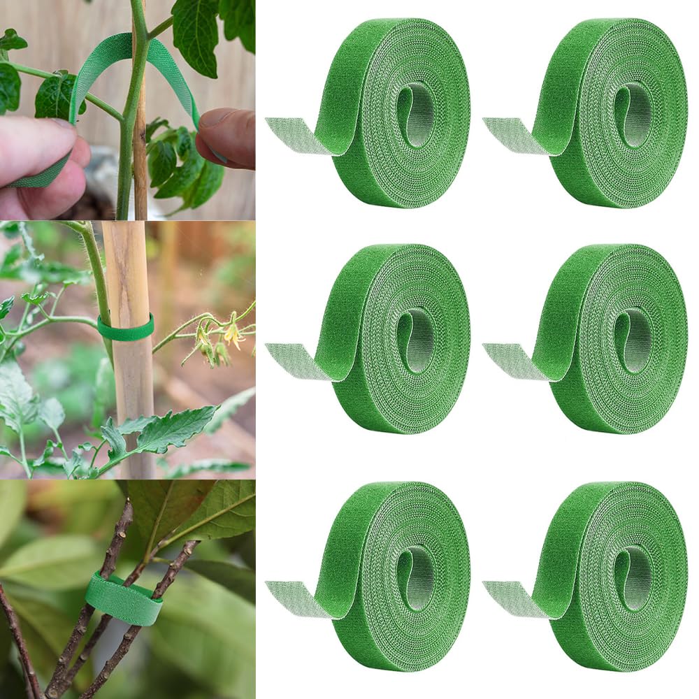 6 Roll Plant Ties for Climbers Support Tie Tape for Gardening Plants Supports Adjustable Garden Tie(1 MTR x 12 MM) (B0CKYZRTBH) Amazon Price History, Amazon Price Tracker