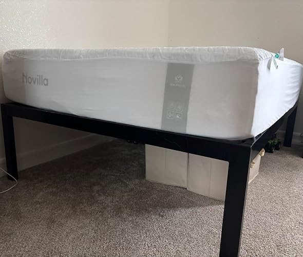 Review Image by bargainshopper0117