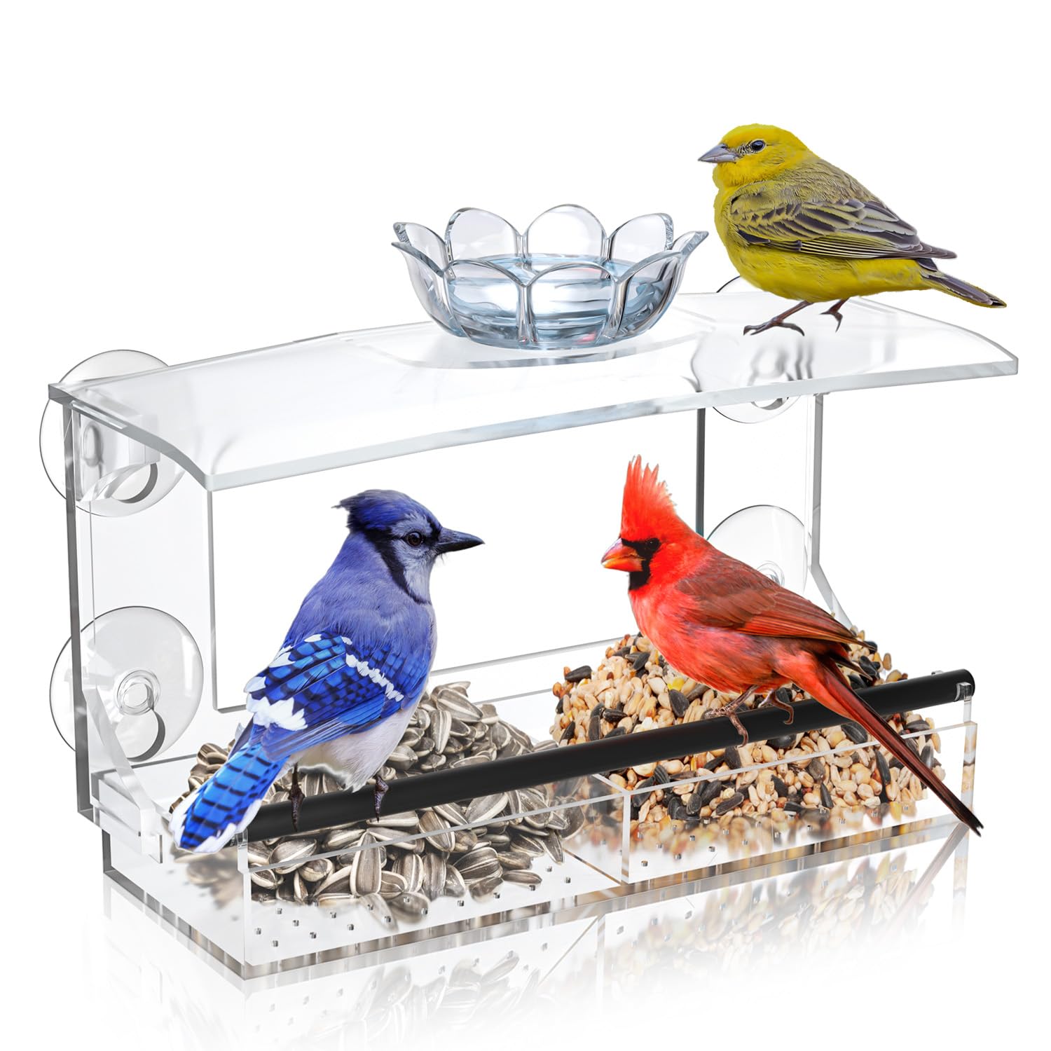 Tc-DcDM Clear Window Bird Feeder