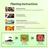 Vista 60 de Outsidepride Bicolor Mix Gerbera Seeds - 10 Pcs Perennial, Compact & Low Maintenance, Flower Seeds for Planting w/Vibrant Mixed Blooms, Ideal for