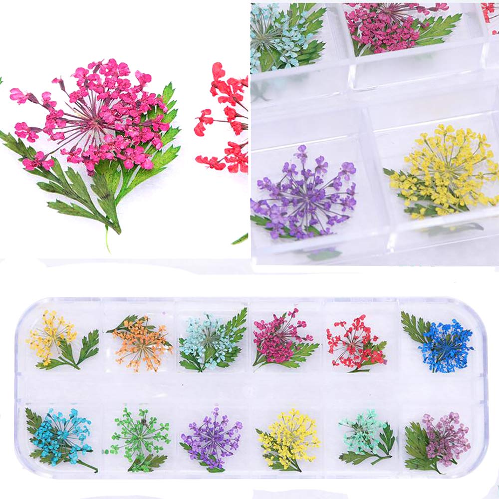 2 doosjes echte natuurlijke gedroogde bloemen voor nail art, 22 kleuren droge bloemen met groene bladeren nail art benodigdheden 3D applicatie nageldecoratie sticker voor tips manicure decoratie