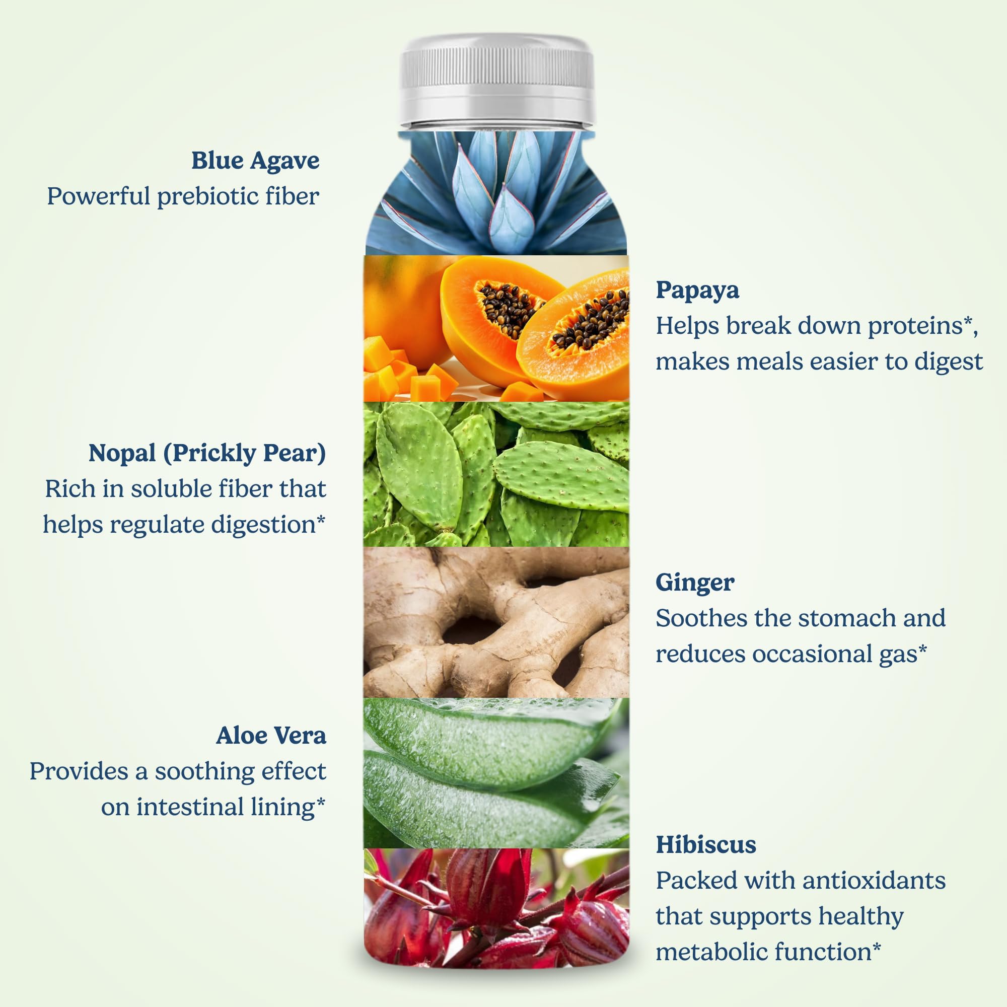 Santo Remedio Digestion Plus Blue Agave Concentrated Drink - 30 Servings — Amazon image 5