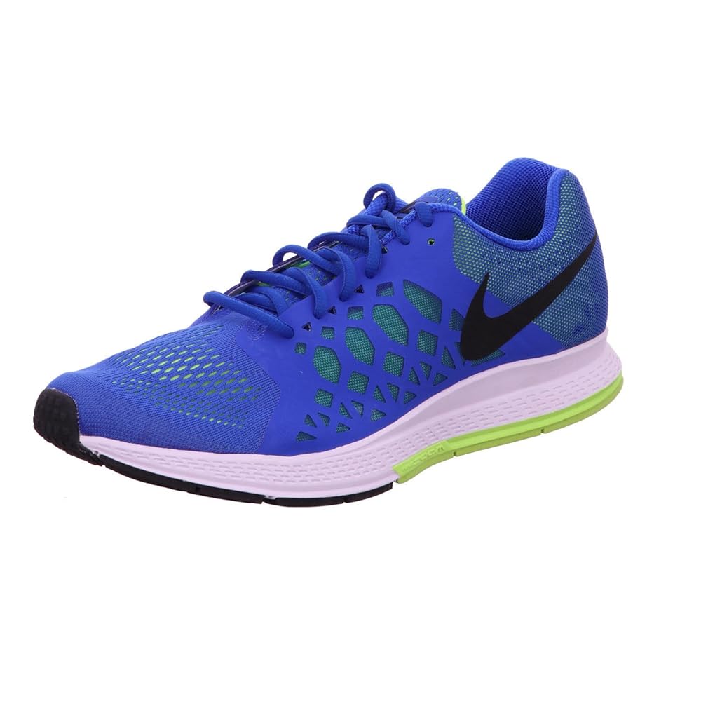 zapatillas nike pegasus 31 hombre