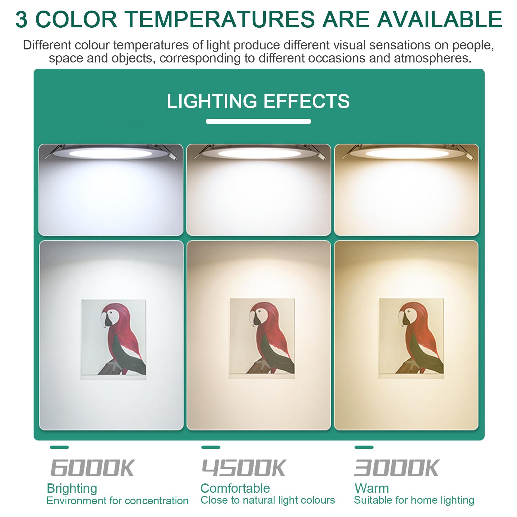 Amazon.co.jp: 12W LEDシーリングライト（埋め込み型、7インチ、4000K