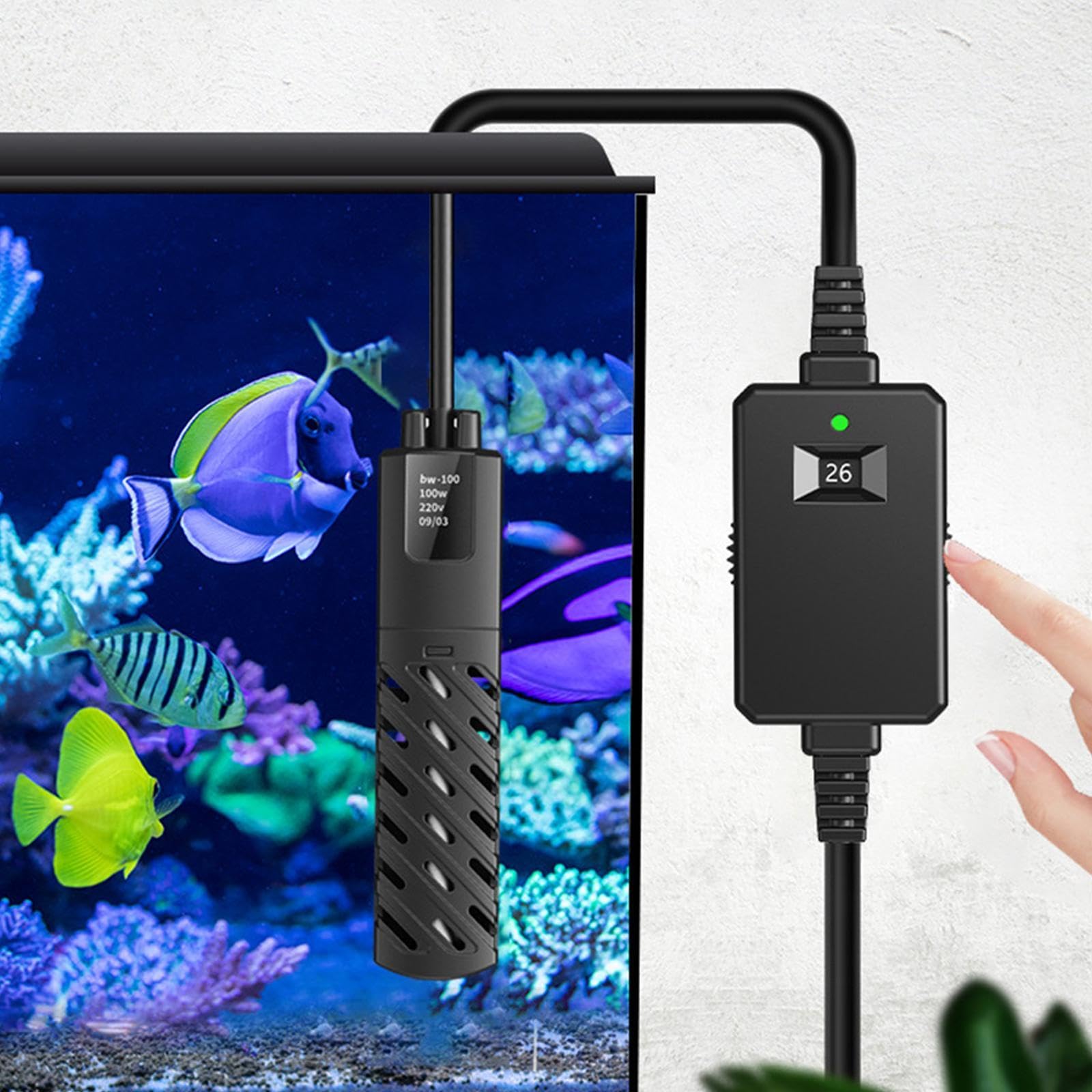 Calentador de Acuario Varilla de Calefacción Electrónica Pantalla Digital Control de Temperatura Protección Automática Adecuado para de Tortug, 50 W