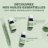 Pranarôm Essential Oil Egypt Geranium (Pelargonium x asperum) 10ml - 6