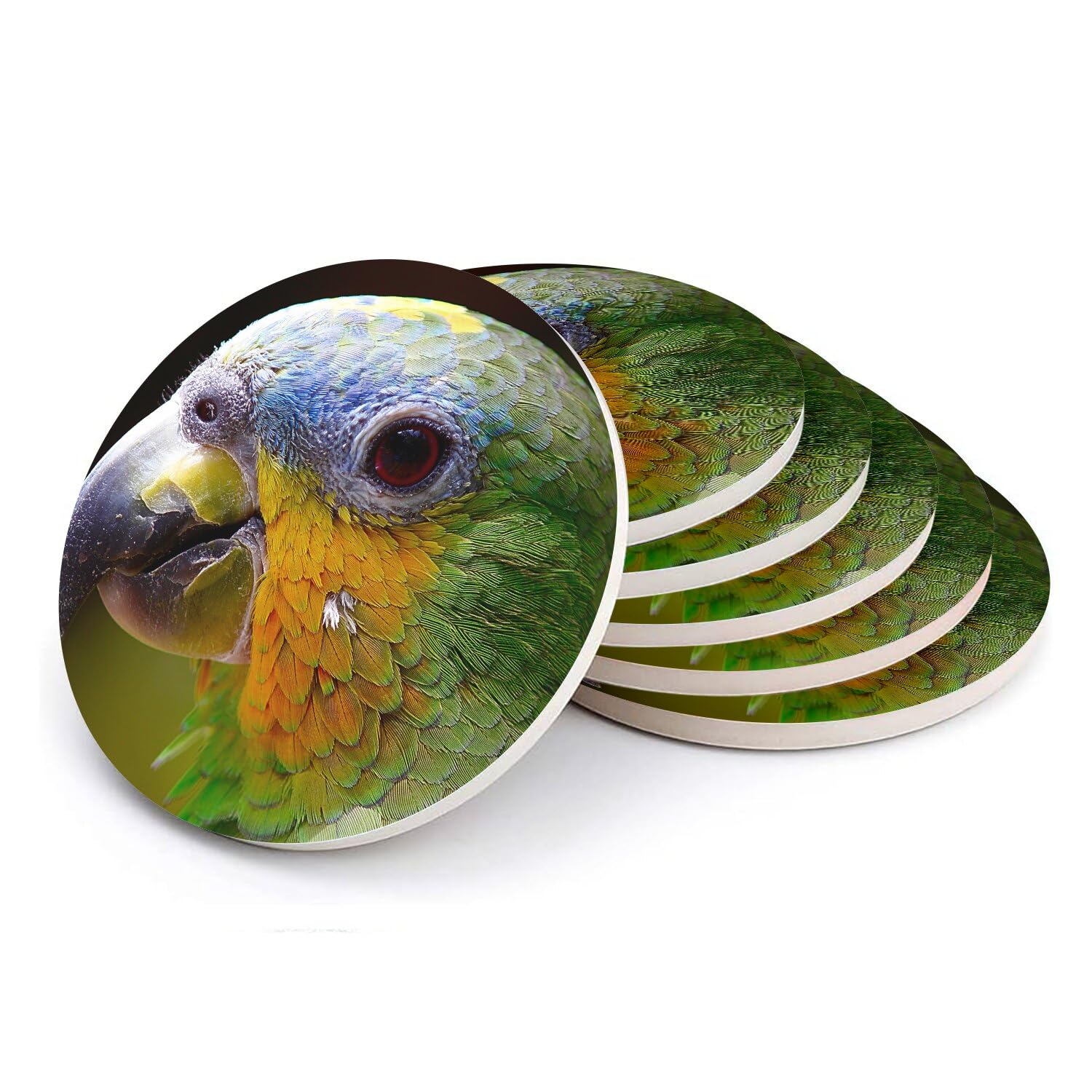 Sottobicchiere rotondo in ceramica, testa di pappagallo multicolor all'ingrosso dell'uccello esotico, confezione da 6 (108 x 108 mm)