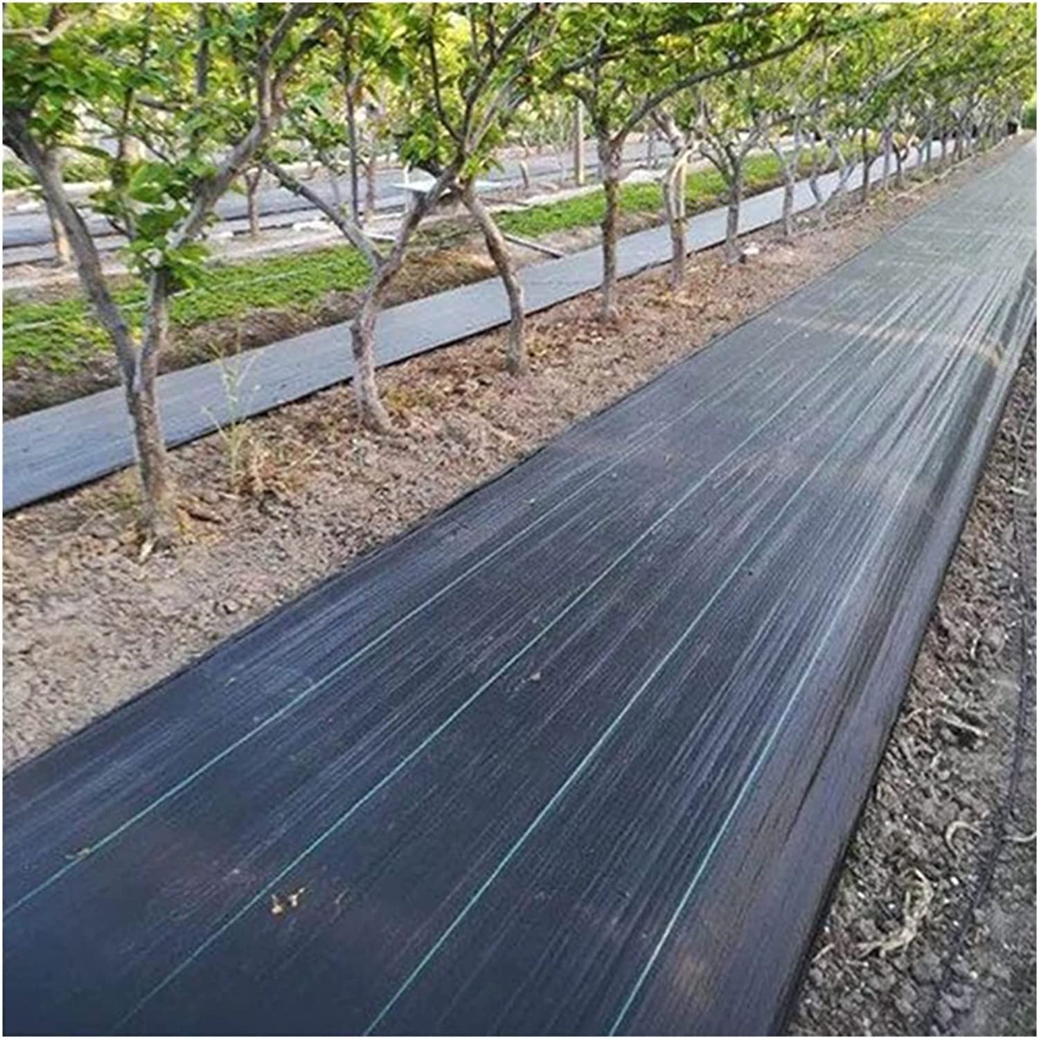 Contre les mauvaises herbes : la membrane robuste de jardin