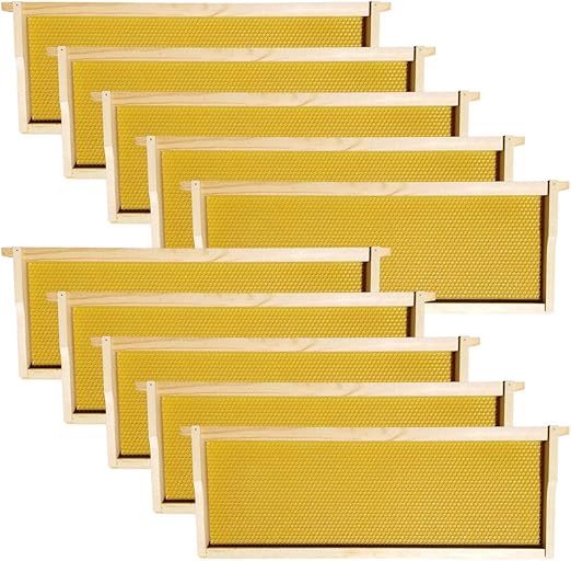 Hoover Hives - Medium Frames & Foundations (10 Pack) - Langstroth Beehive Wooden Frames, Natural Honey Colored Food Grade Plastic Foundations Dipped in Natural Beeswax