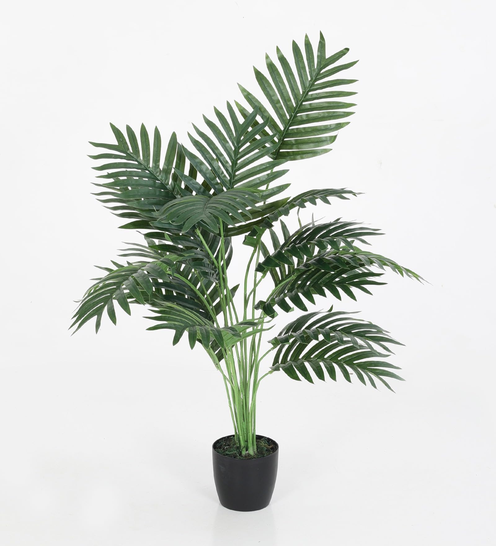 Home Bloom Artificial Areca Palm Plants for Indoor & Outdoor with Pot (75 cm Tall, Multicolor) (Green)
