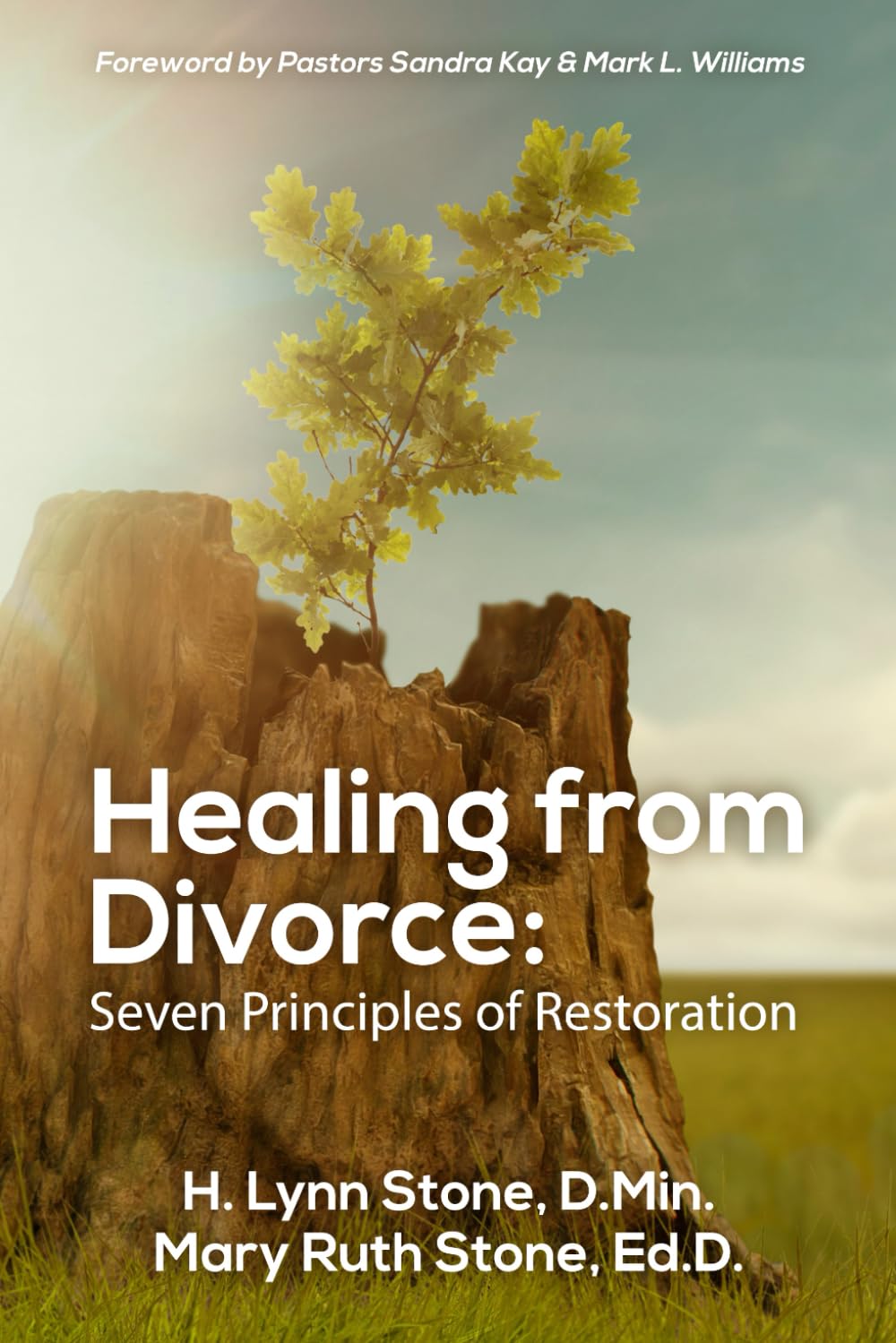 Healing from Divorce:: Seven Principles of Restoration