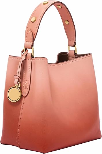 Amazon | [フォッシル] レディース LIZA レザー ジップアラウンド