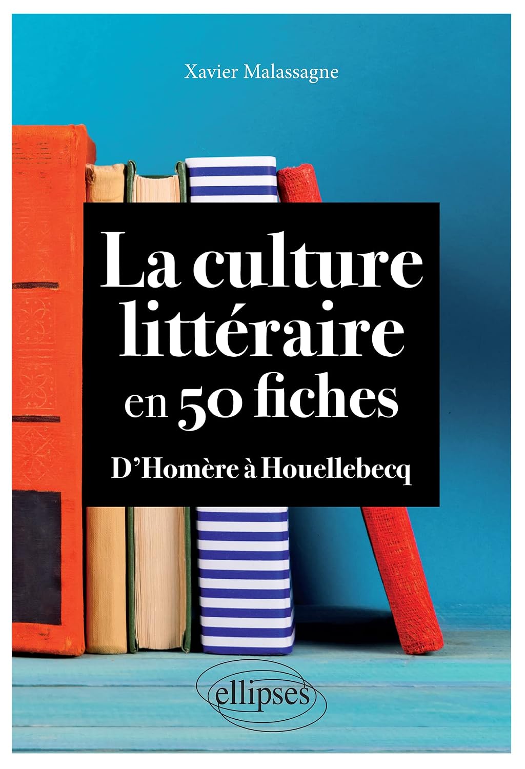 La culture littéraire en 50 fiches: D'Homère à Houellebecq (French Edition)