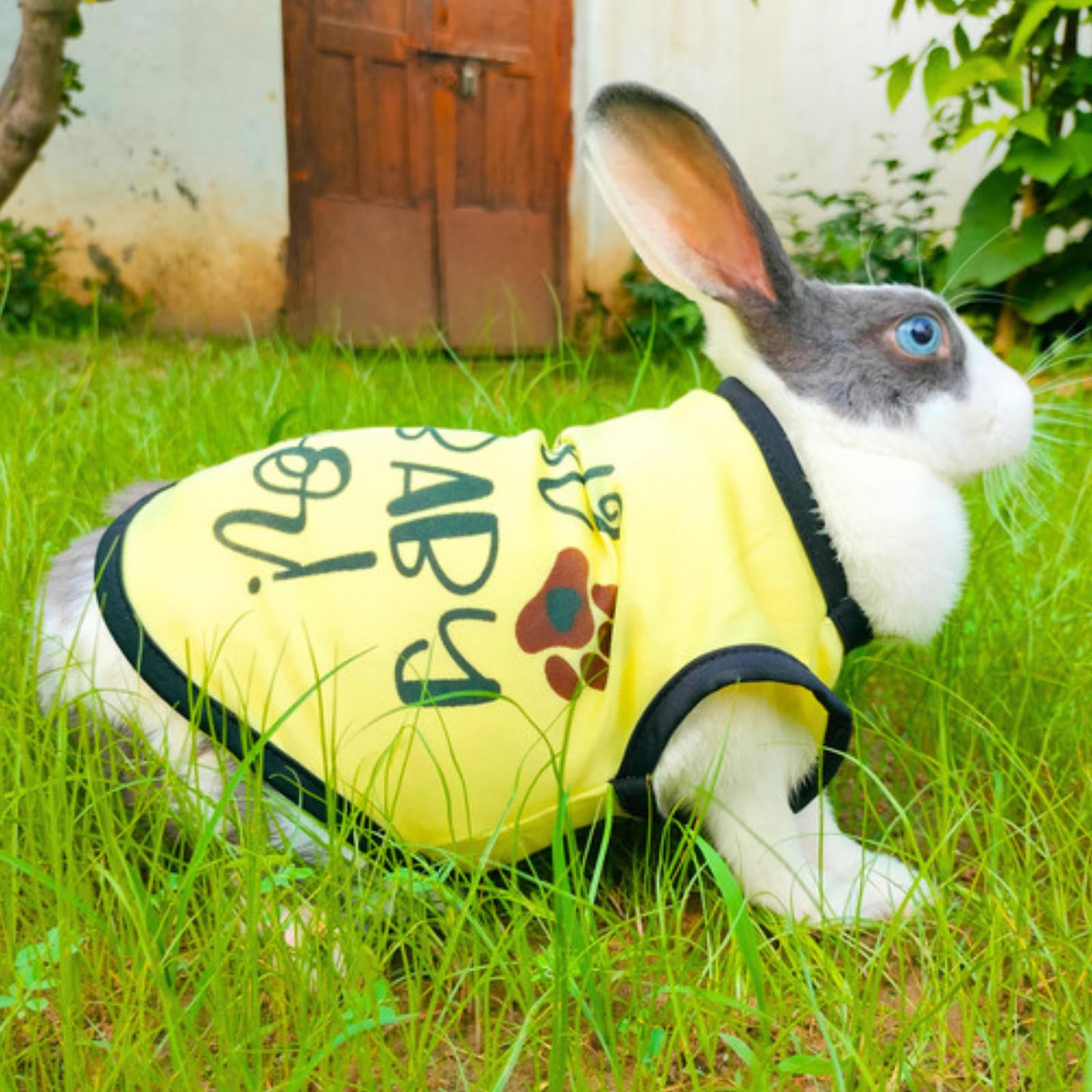 Lulala Pet t-Shirt Printed Round Neck Sleeveless Dog Vest Tank T-Shirt Tees Apparel Clothes Tees Gift for Dogs (Yellow) Small Medium and Large Dogs Cats (30 Inch) (B0CCRQVXHJ) Amazon Price History, Amazon Price Tracker