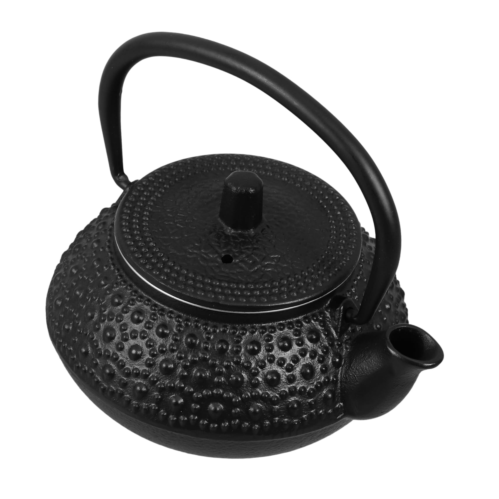 Bouilloire en Fer 0,3l avec Infuseur pour Thé en Vrac, Solide et Stable, Style Simple et Élégant, pour Infusion à Domicile