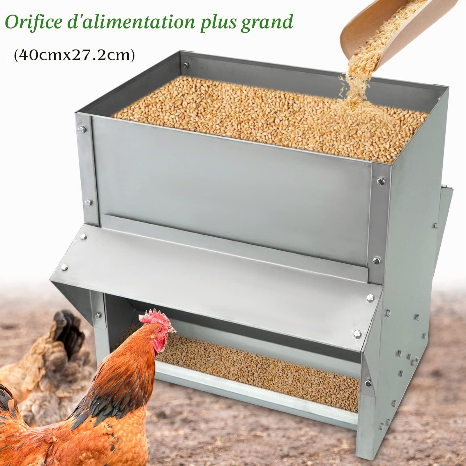 Mangeoire à Poule Automatique 25KG en Acier, Distributeur Graines Poules | Agrainoir Automatique, Anti Pluie, Anti Gaspillage, Accessoire Poulailler