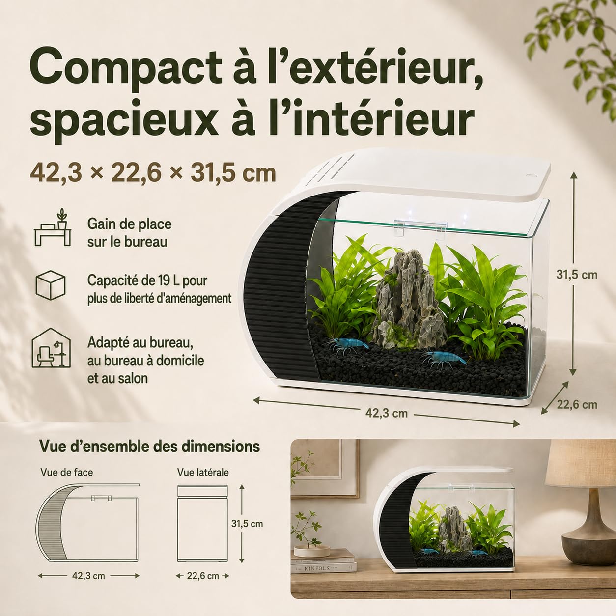 Aquarium de 5 gallons, avec éclairage LED et pompe à eau, capacité pour poissons d'ornement, crabes, plantes, idéal pour salon, chambre à coucher, bureau, décoration