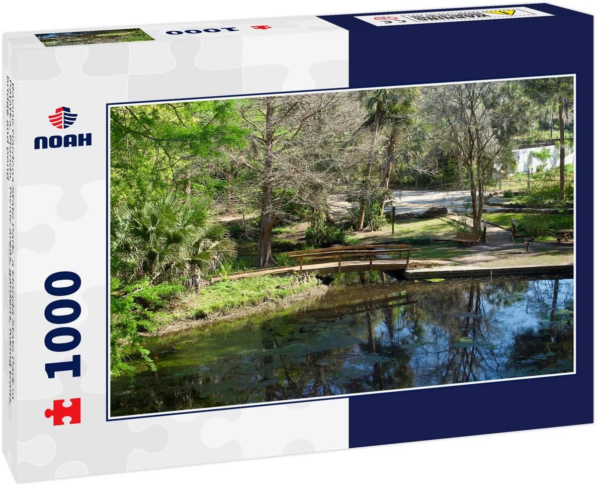 Buy Noah Jigsaw Puzzle Ravine Gardens State Park, a Florida State Park