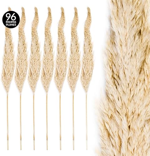 Miniatura 5 de Koyal Wholesale Plumas decorativas de hierba de las pampas secas reales, 28-32 pulgadas, color crema natural, a granel de 96 piezas de tallos de