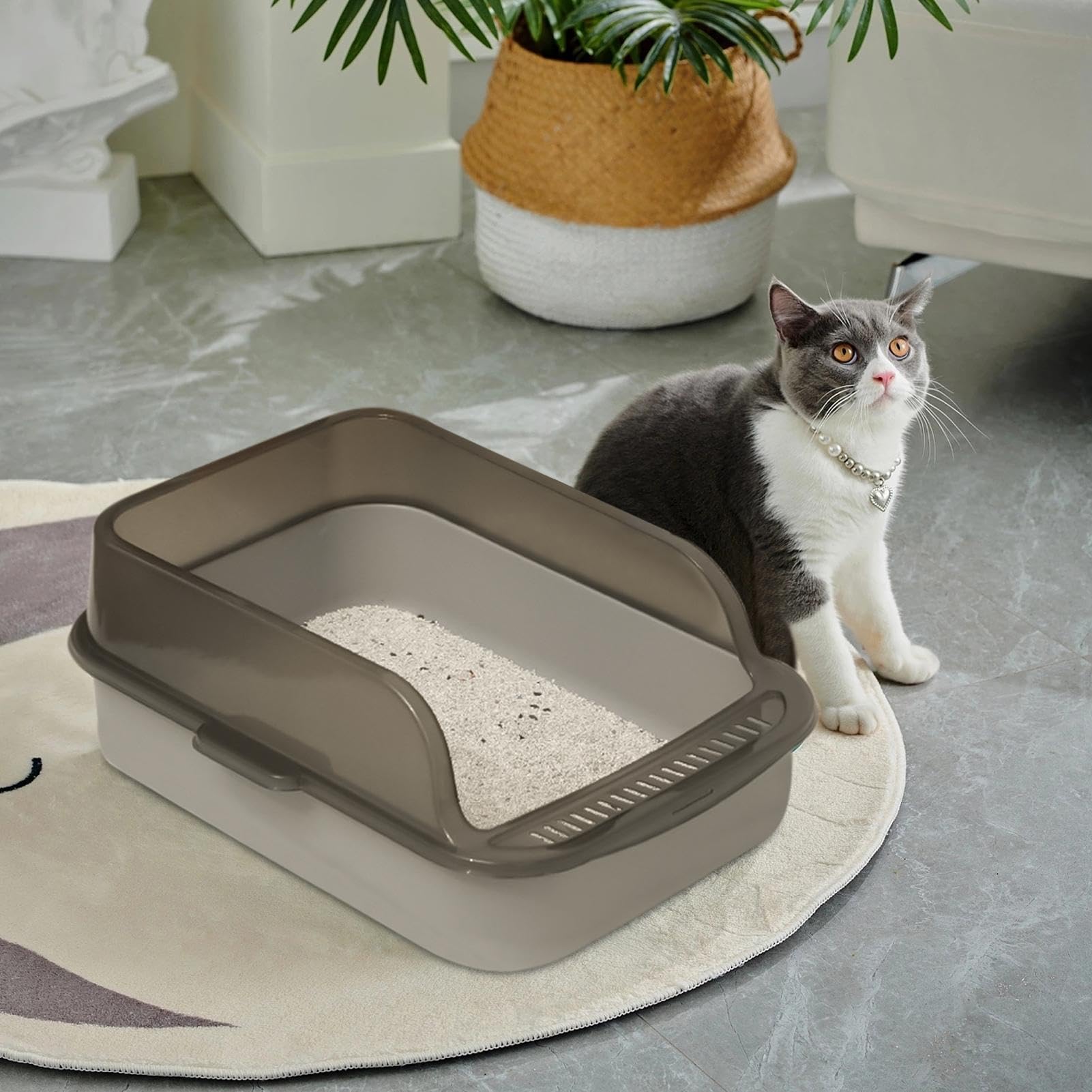 Lettiera Con Parte Superiore Aperta - Bordi Alti a Prova di Perdite Per Gatti | Toilette Per Gattini Facile da Pulire Con Parte Superiore Aperta