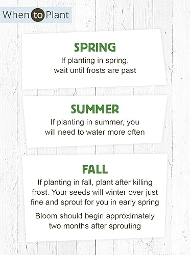 Miniatura 6 de American Meadows Paquetes de semillas de flores silvestres "Mom to Bee" para fiestas de baby shower (paquete de 20)  Paquete de semillas de flores